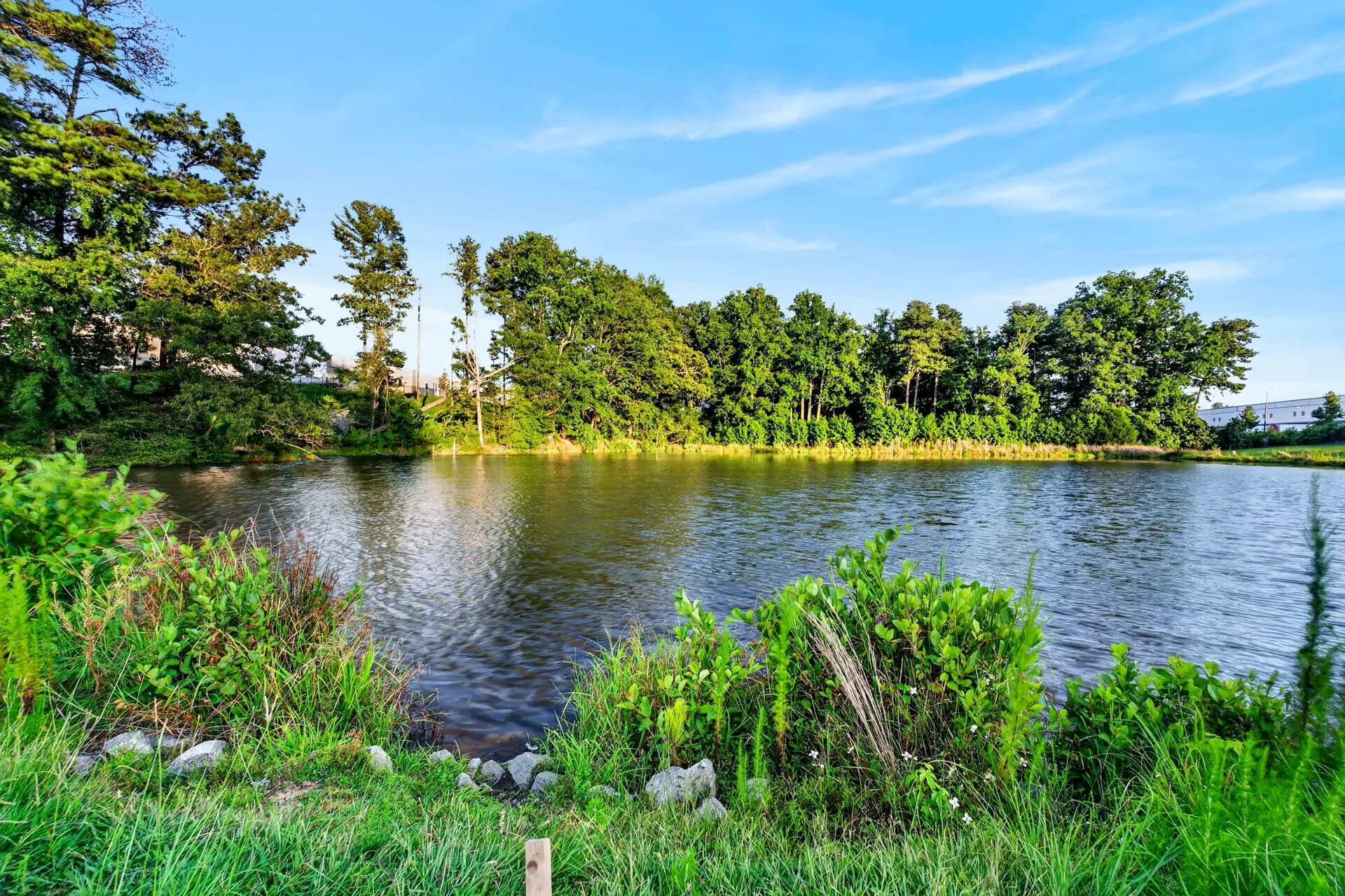 Pond at White Fallow Estate