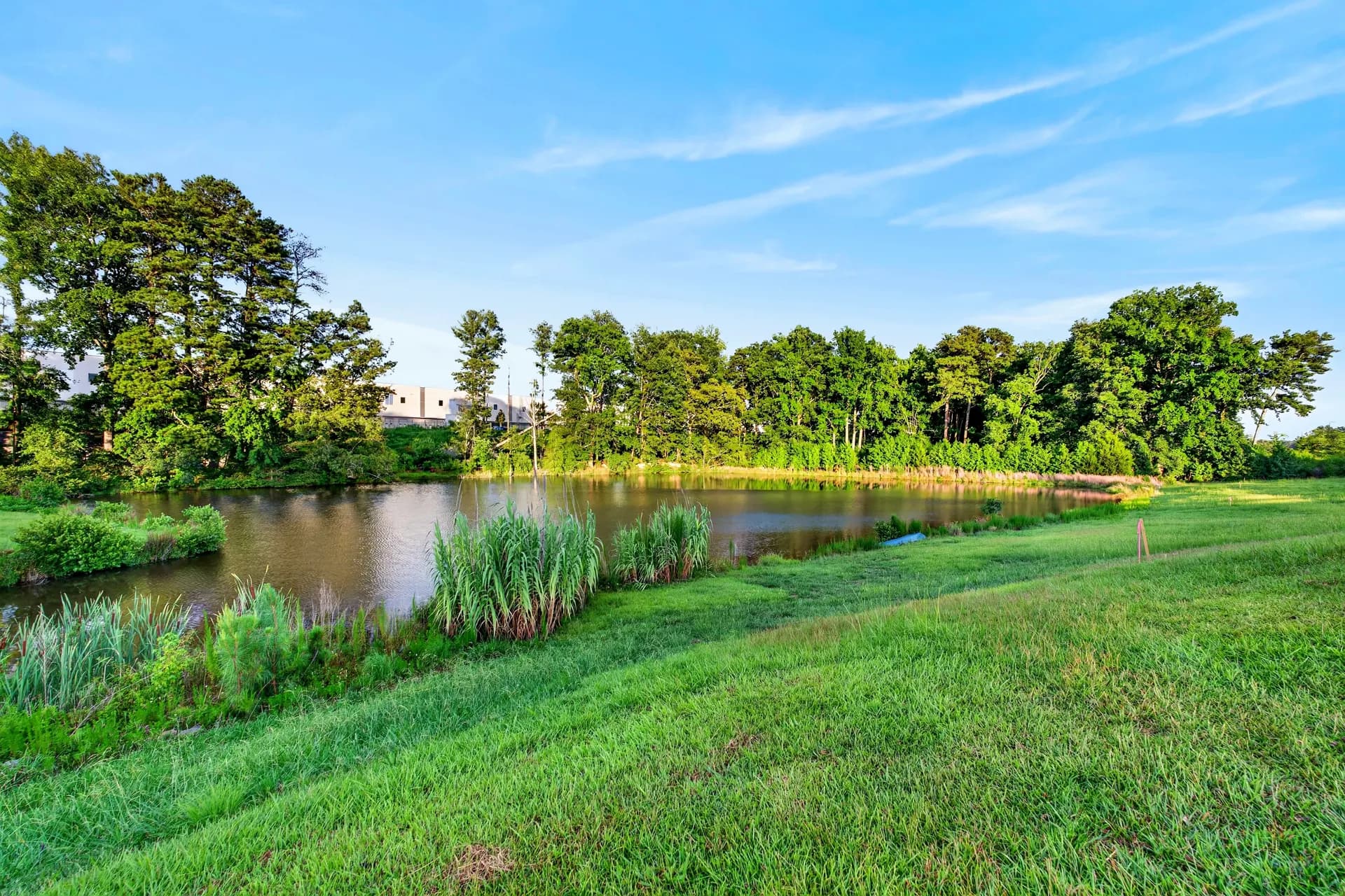 Pond 2 at White Fallow Estate